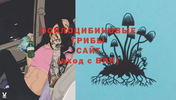 ешки Абдулино