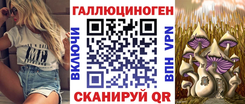 цены   Калач  Псилоцибиновые грибы прущие грибы 